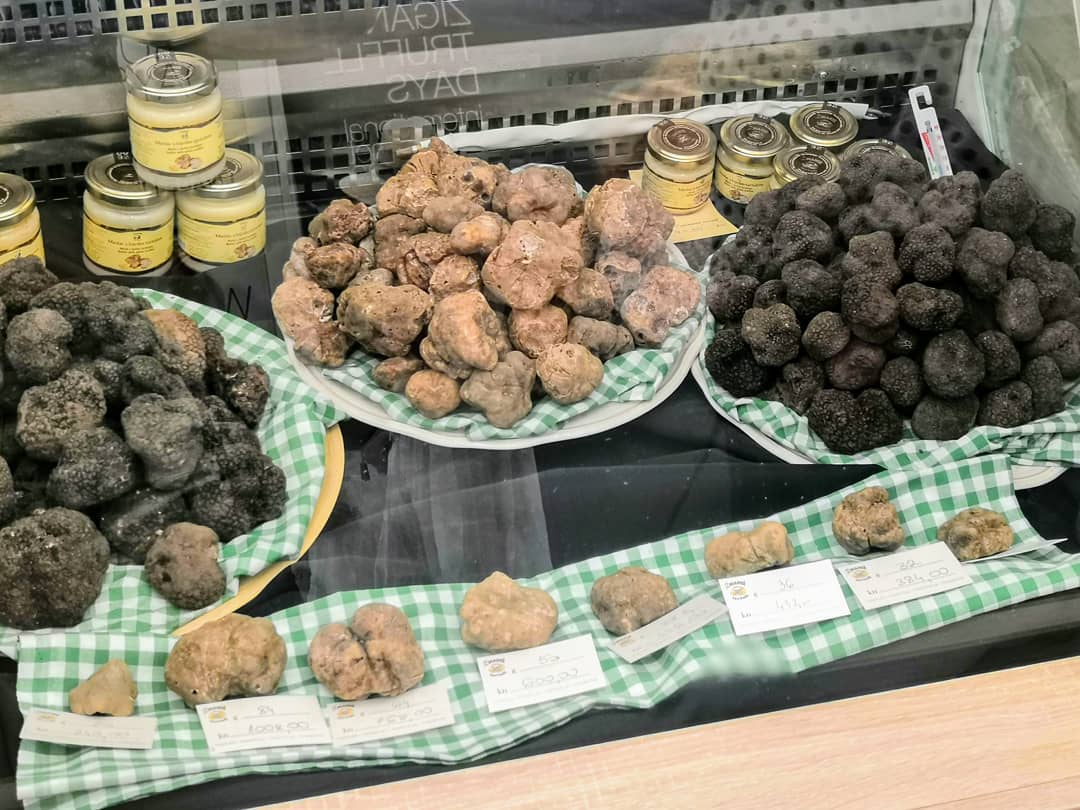 festivals in croatia truffels photo