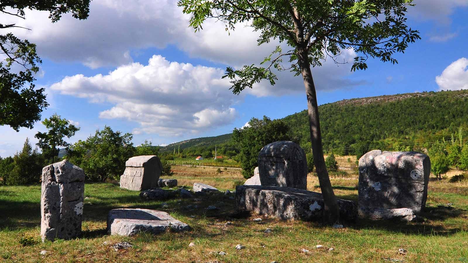 croatian history and culture stećci near dubrovnik