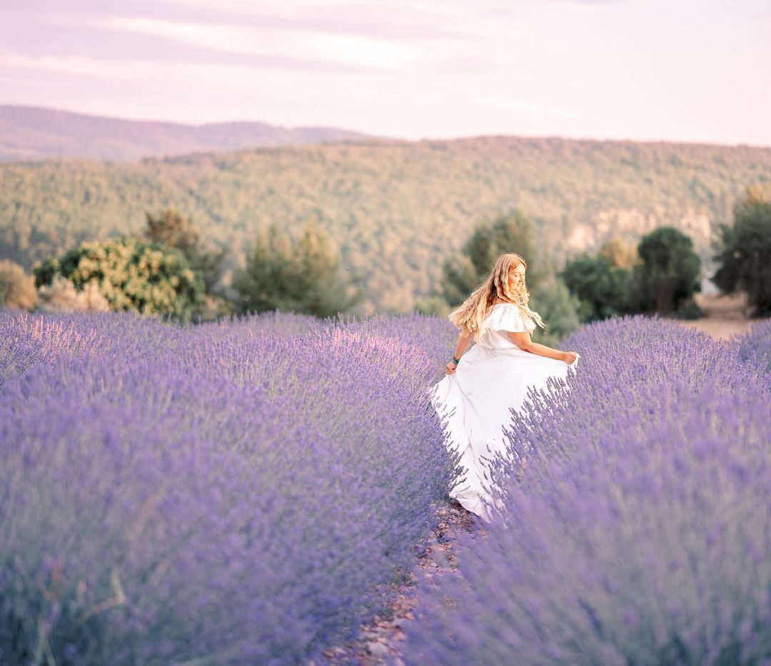 Yacht Charter trogir lavender fields on čiovo