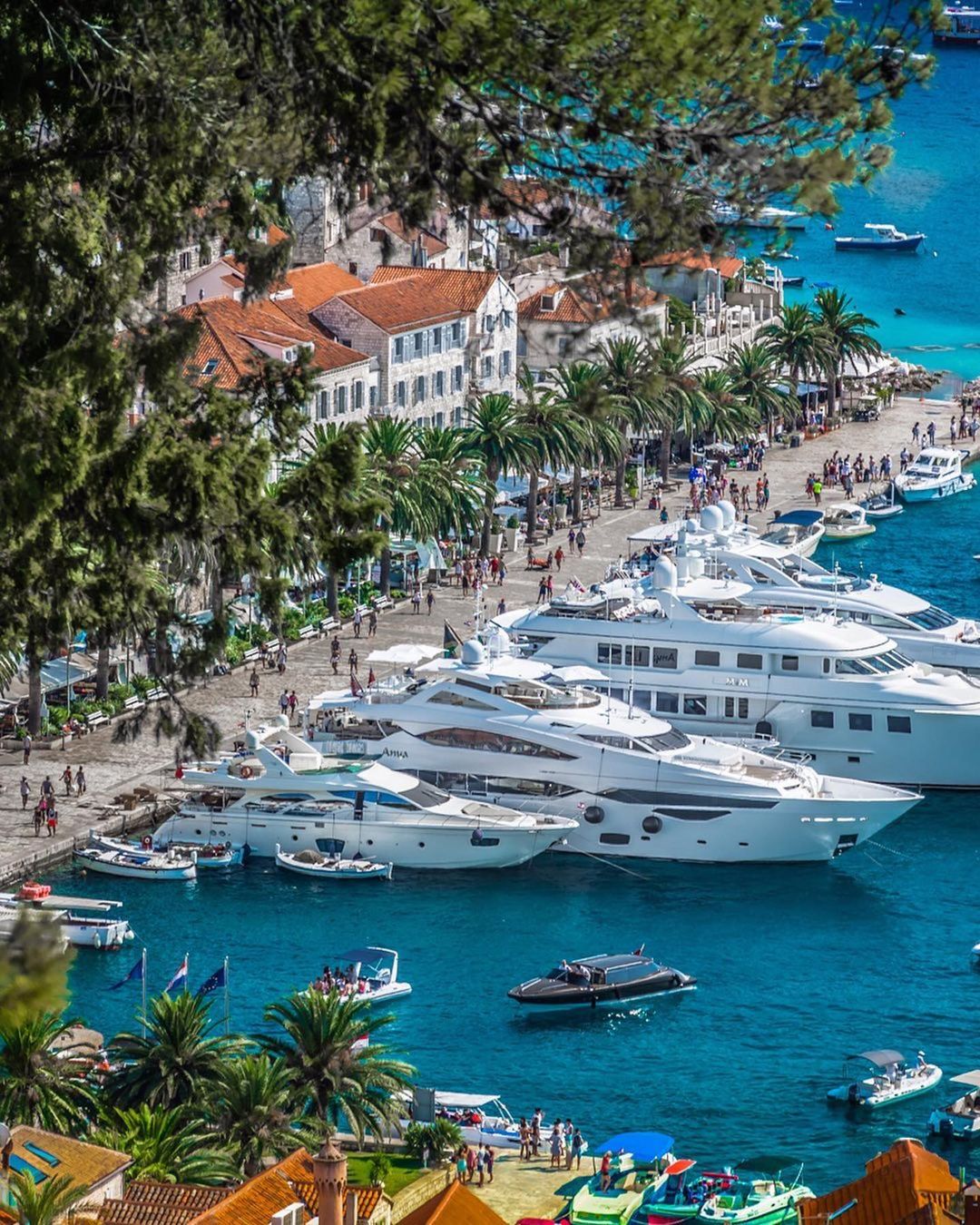 Yacht charter in Trogir yachts docked in hvar