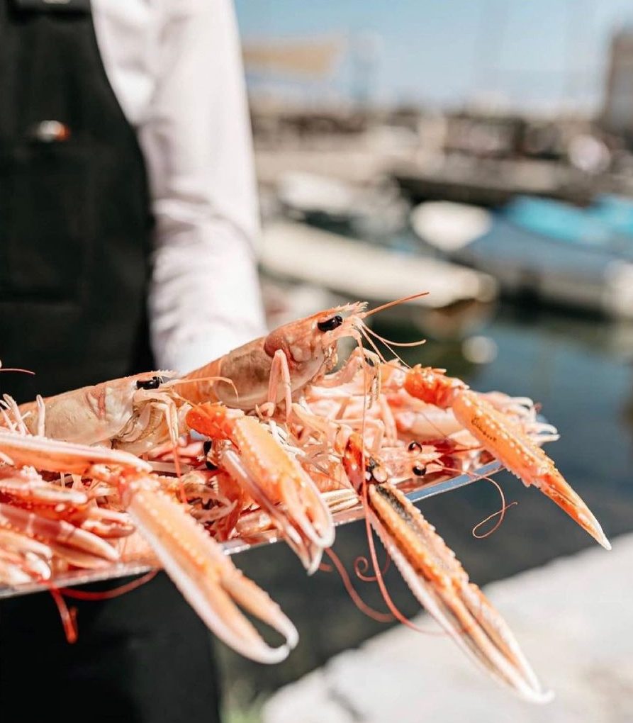 Yacht charter in Opatija waiter serving shrimps