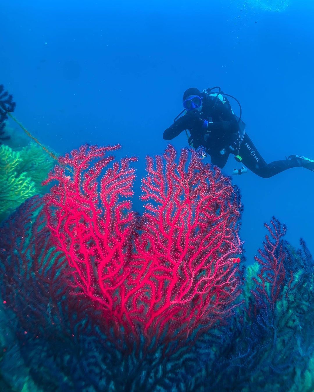 Diving in Croatia