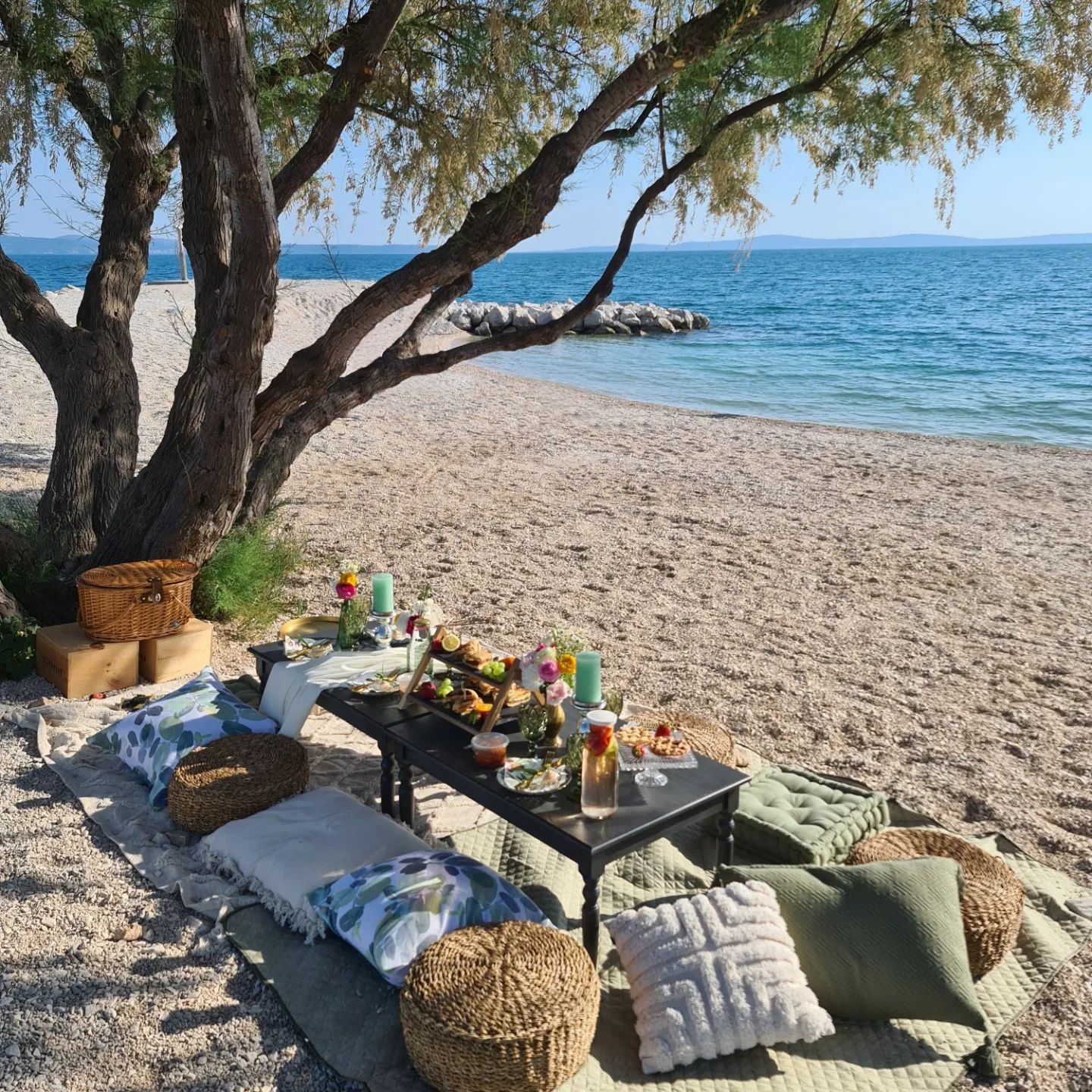 beach picnic under the tree
