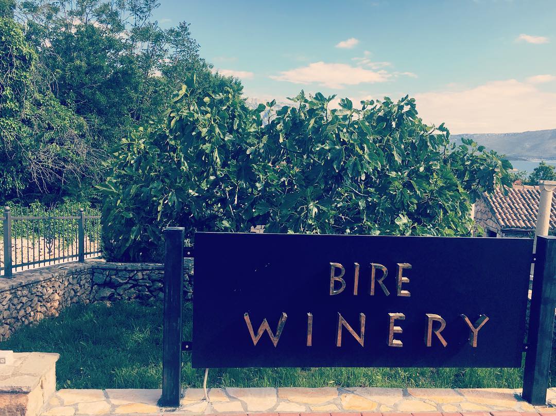 Bire Winery Wine tour for yacht charter guests in Croatia () Bire Winery Wine tour for yacht charter guests in Croatia ()