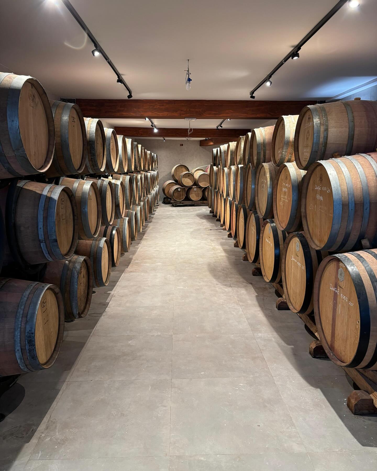 Skaramuča vina Wine tour for yacht charter guests in Croatia () Skaramuča vina Wine tour for yacht charter guests in Croatia ()