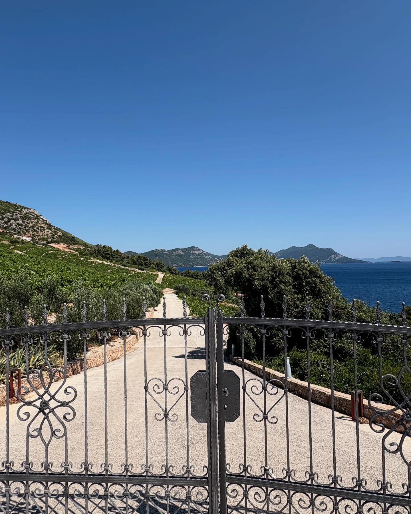 Skaramuča vina Wine tour for yacht charter guests in Croatia () Skaramuča vina Wine tour for yacht charter guests in Croatia ()