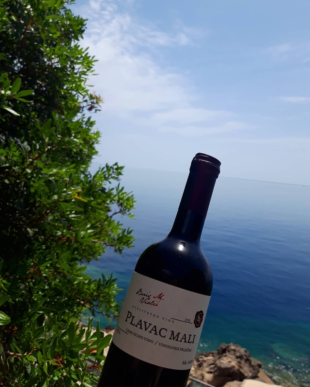 Vinarija Dingač Wine tour for yacht charter guests in Croatia () Vinarija Dingač Wine tour for yacht charter guests in Croatia ()